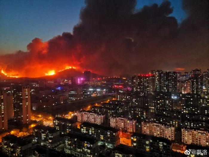 006lXFlYly1ge52v0ctv9j33342bcqv6.jpg 006lXFlYly1ge52v0ctv9j33342bcqv6.jpg