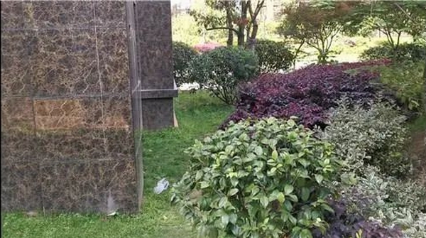 f410-isuiksn8884557.jpg f410-isuiksn8884557.jpg