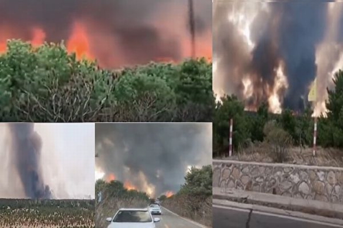 2020-04-30_18-33-25-600x400.jpg 2020-04-30_18-33-25-600x400.jpg