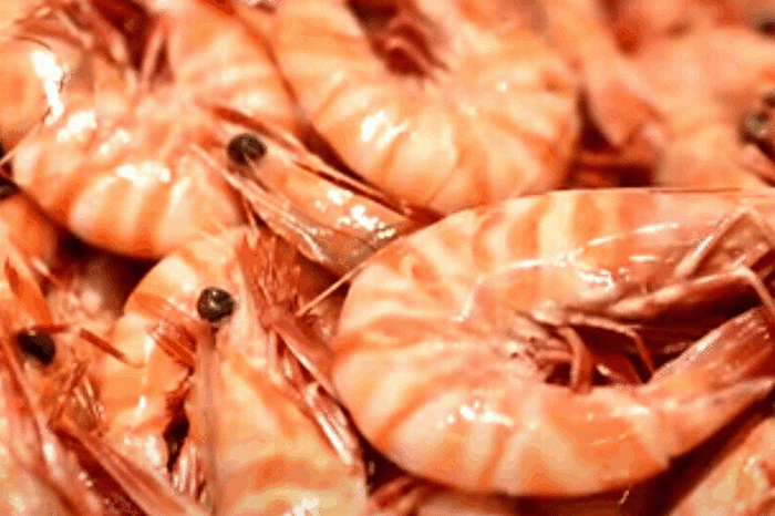 5cb3062d887fc1bba988f2568bcd7189-600x400.gif 5cb3062d887fc1bba988f2568bcd7189-600x400.gif