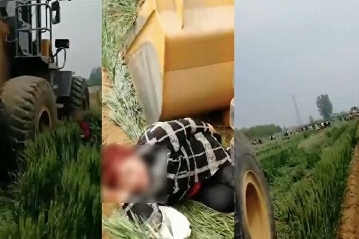 2020-05-07_13-10-16-600x400.jpg 2020-05-07_13-10-16-600x400.jpg