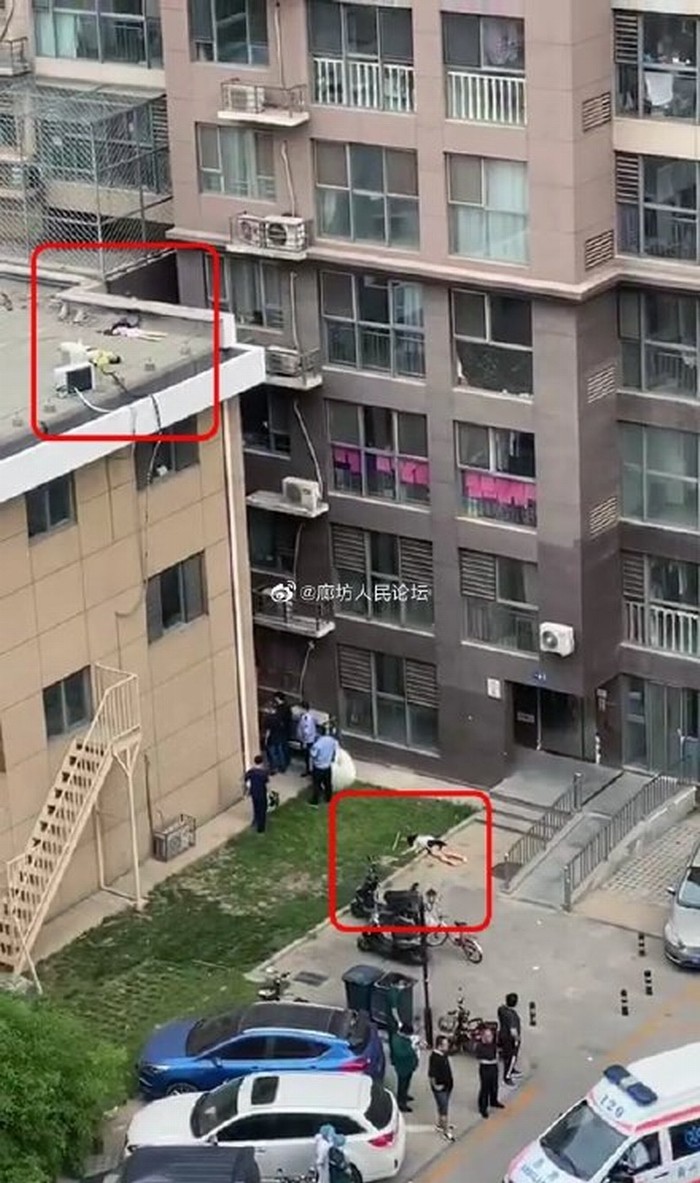 85c5e62ffa3a66b4480de2cb1fd6d22b.jpg 85c5e62ffa3a66b4480de2cb1fd6d22b.jpg